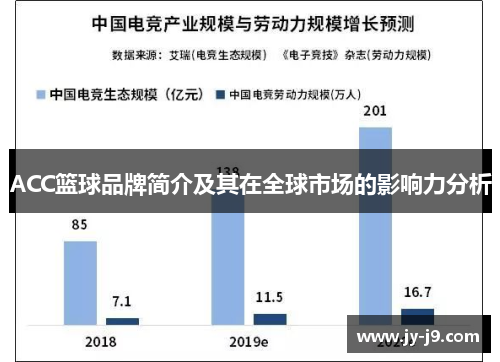 ACC篮球品牌简介及其在全球市场的影响力分析