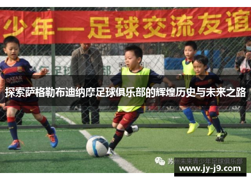 探索萨格勒布迪纳摩足球俱乐部的辉煌历史与未来之路